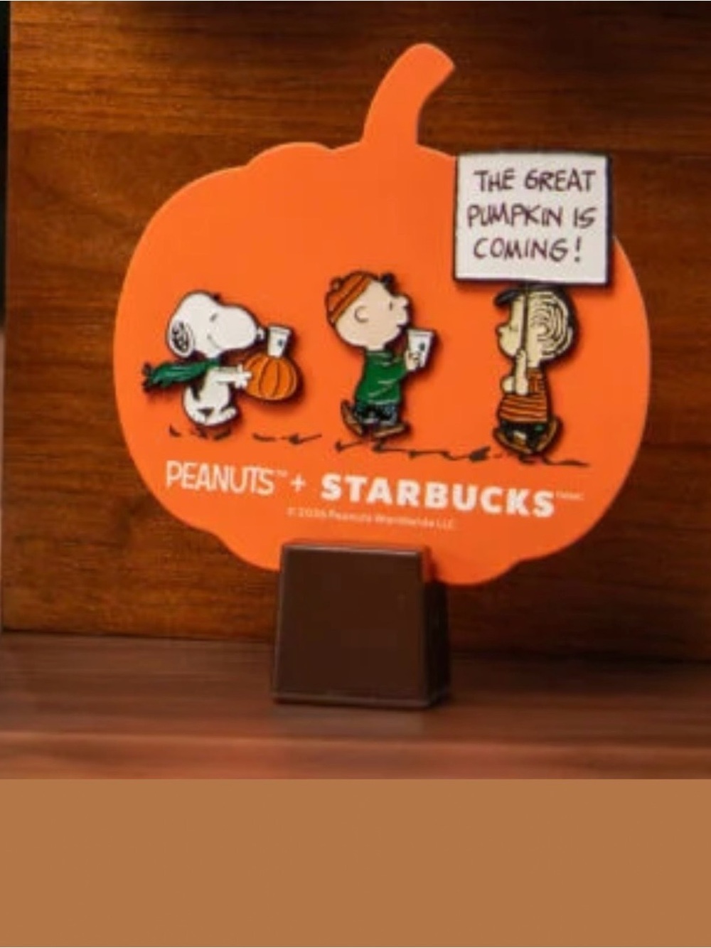 Starbucks x Peanuts with Snoopy & Friends Pin Set of 3